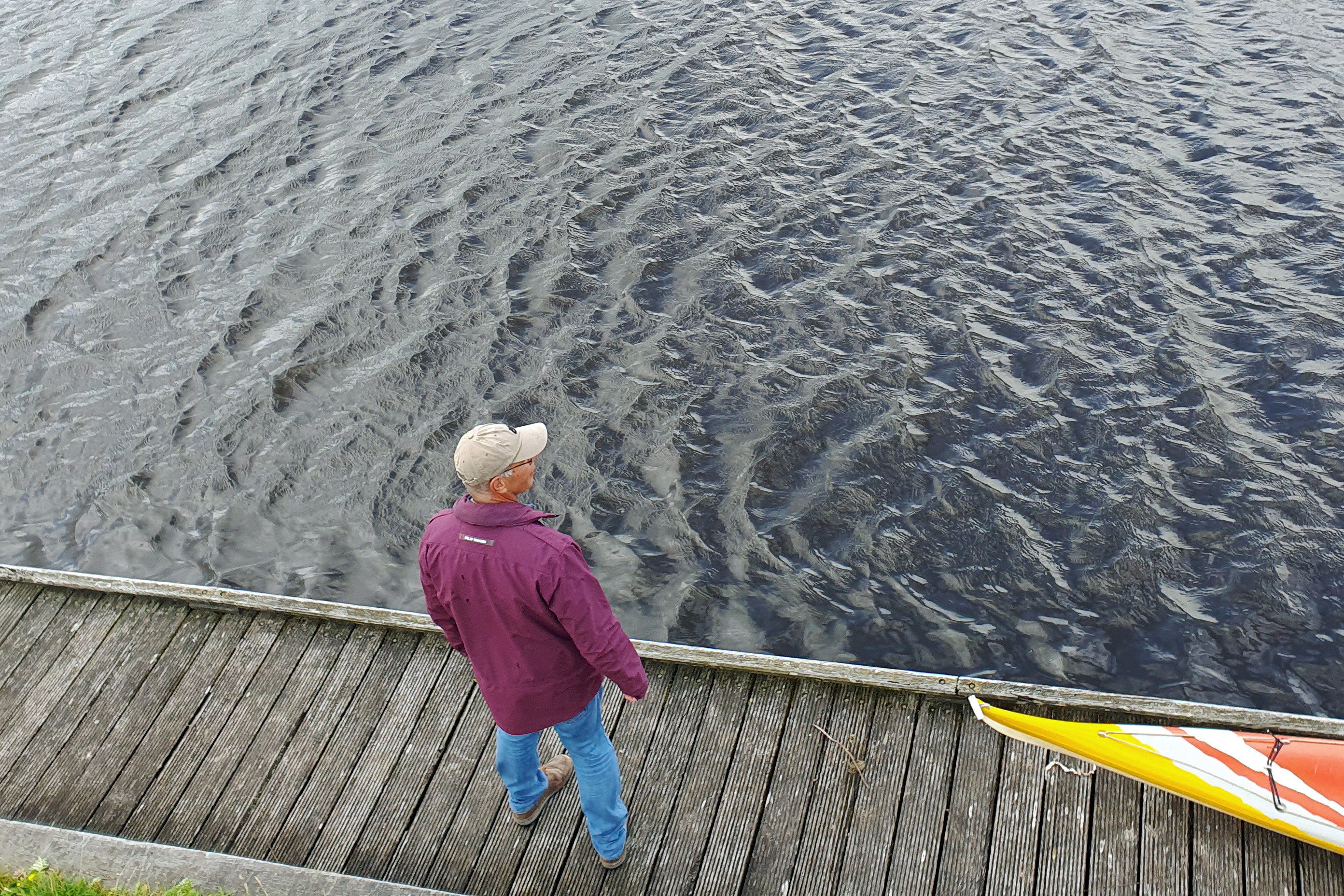 kanovereniging De Futen